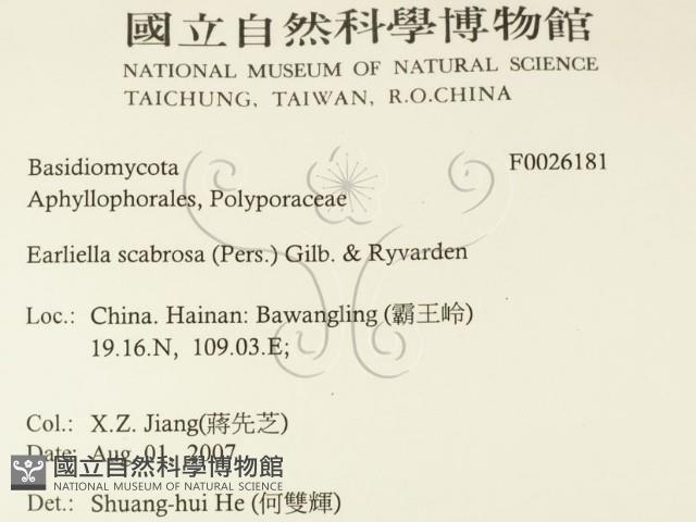 登錄號:F0026181藏品圖，第2張