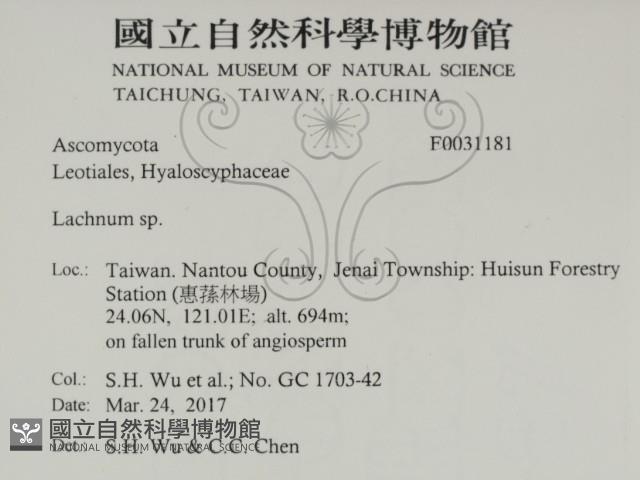 登錄號:F0031181藏品圖，第2張