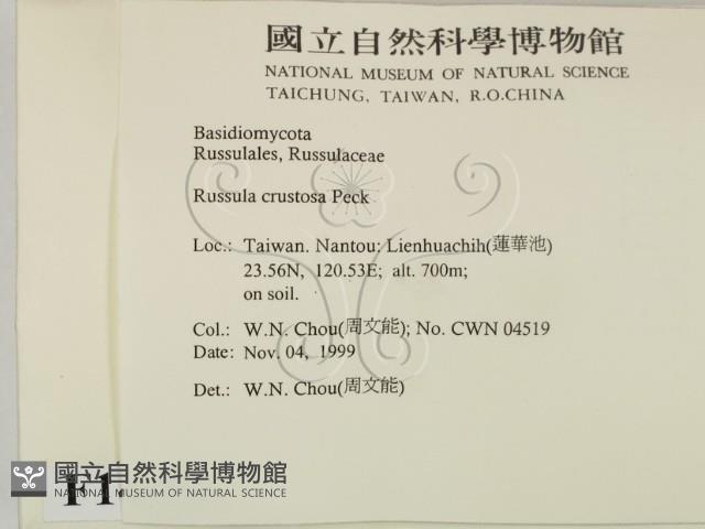 登錄號:F0014181藏品圖，第2張