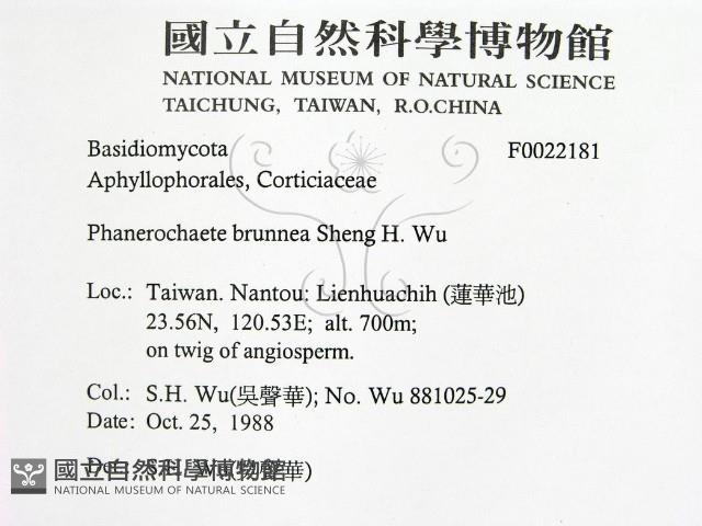 登錄號:F0022181藏品圖，第2張