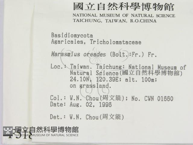 登錄號:F0005181藏品圖，第2張