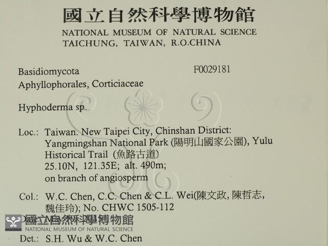 絲皮菌屬藏品圖，第2張