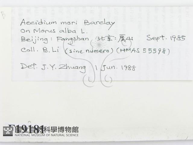 登錄號:F0019181藏品圖，第2張