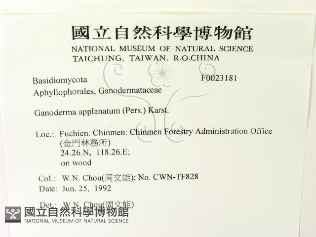 登錄號:F0023181藏品圖，第2張