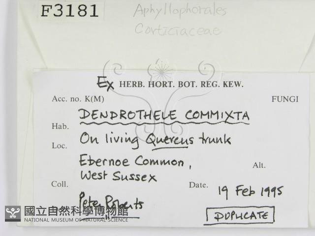 登錄號:F0003181藏品圖，第2張