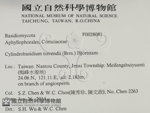 登錄號:F0028081藏品圖，第2張