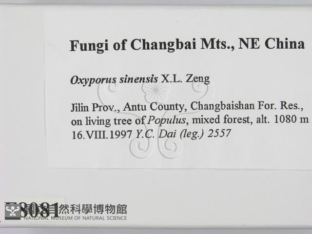 登錄號:F0008081藏品圖，第2張