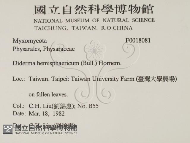 登錄號:F0018081藏品圖，第2張