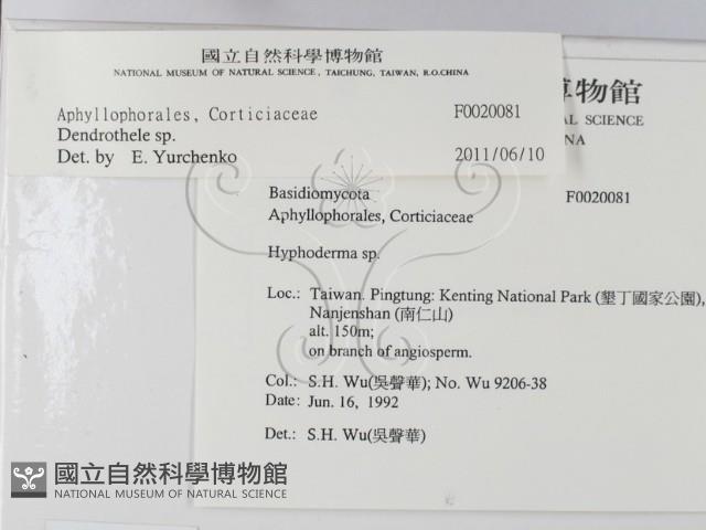 登錄號:F0020081藏品圖，第2張