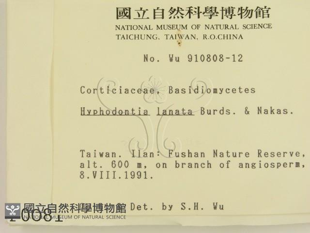 登錄號:F0000081藏品圖，第2張
