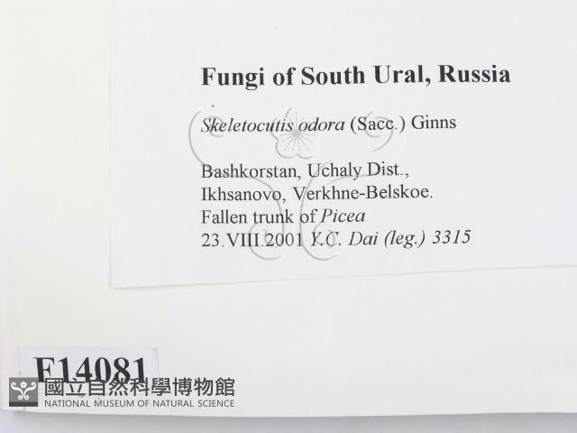 登錄號:F0014081藏品圖，第2張