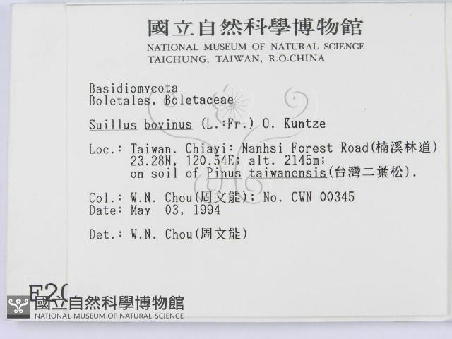 登錄號:F0002081藏品圖，第2張