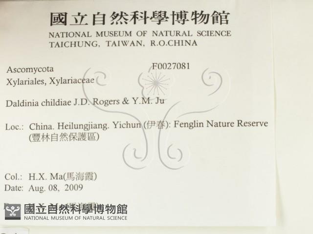 登錄號:F0027081藏品圖，第2張