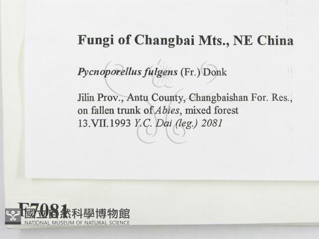 登錄號:F0007081藏品圖，第2張