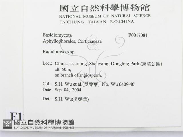 登錄號:F0017081藏品圖，第2張