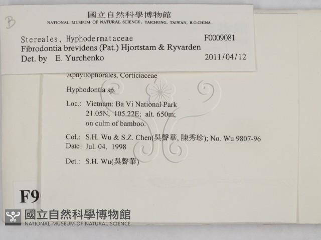 登錄號:F0009081藏品圖，第2張