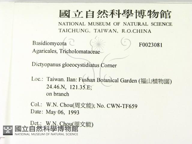 登錄號:F0023081藏品圖，第2張