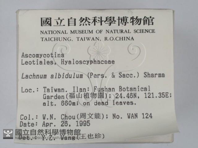 登錄號:F0003081藏品圖，第2張