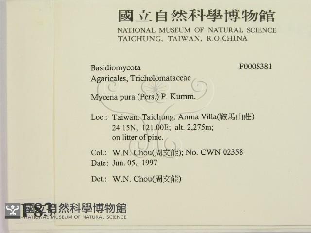 登錄號:F0008381藏品圖，第2張