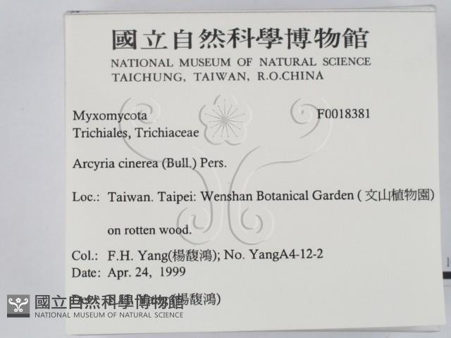 登錄號:F0018381藏品圖，第2張