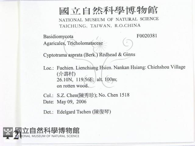 登錄號:F0020381藏品圖，第2張