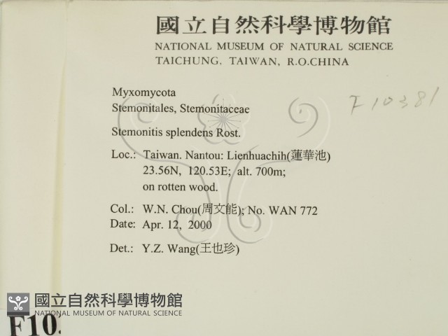登錄號:F0010381藏品圖，第2張
