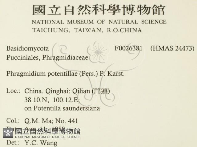 登錄號:F0026381藏品圖，第2張