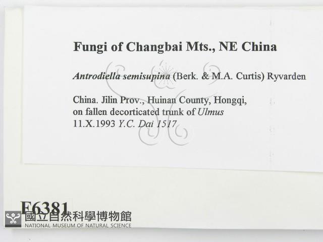 登錄號:F0006381藏品圖，第2張