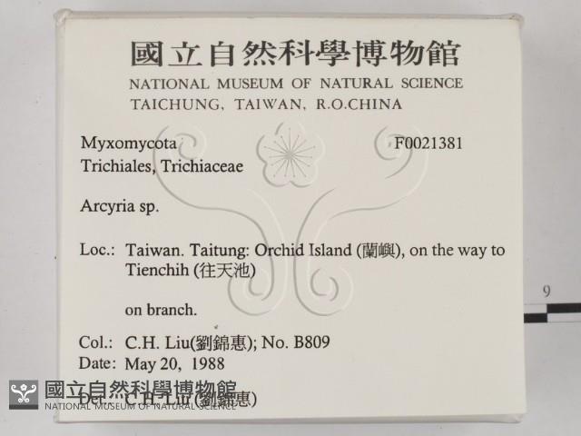 登錄號:F0021381藏品圖，第2張