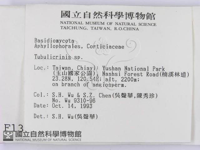 登錄號:F0001381藏品圖，第2張