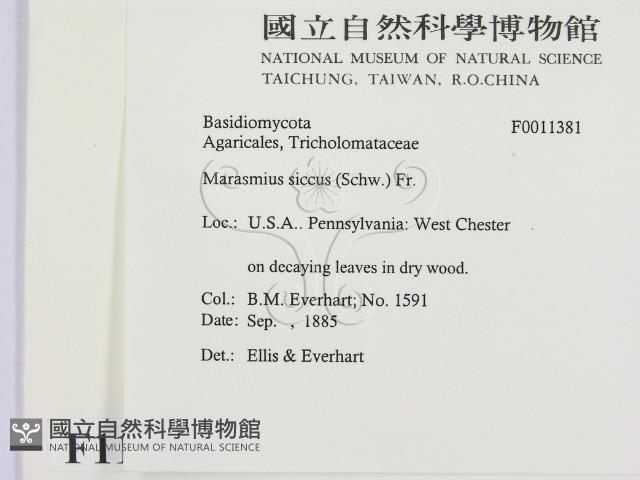 登錄號:F0011381藏品圖，第2張