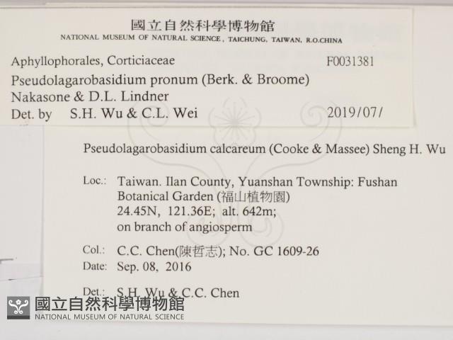 登錄號:F0031381藏品圖，第2張