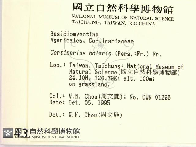 登錄號:F0004381藏品圖，第2張