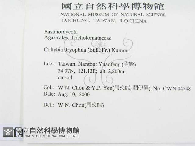 登錄號:F0014381藏品圖，第2張