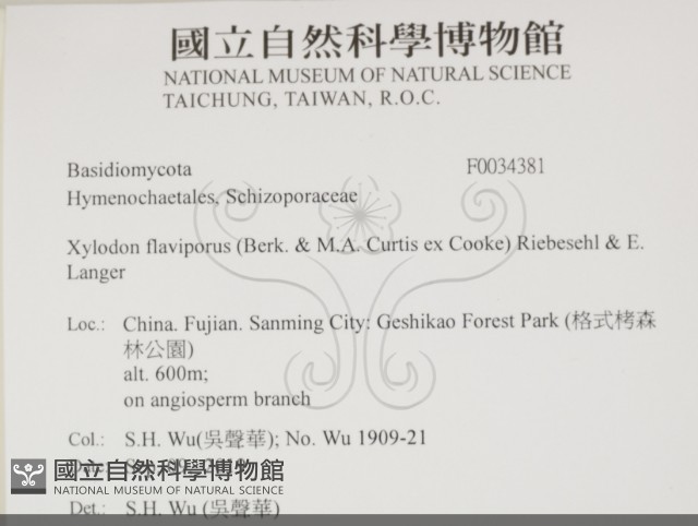 登錄號:F0034381藏品圖，第2張