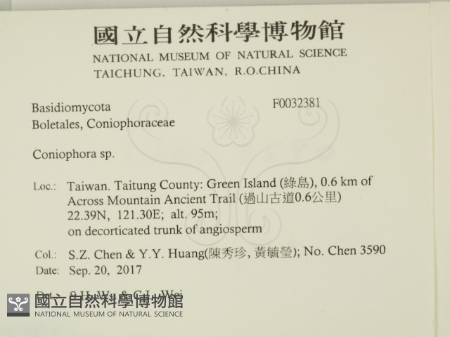 登錄號:F0032381藏品圖，第2張