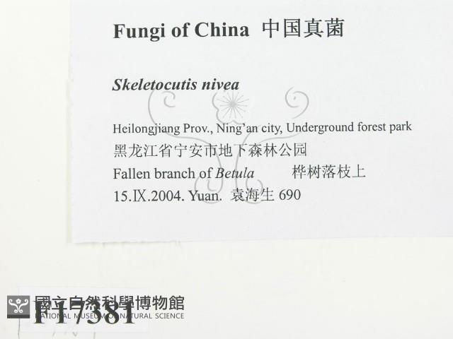 登錄號:F0017381藏品圖，第2張