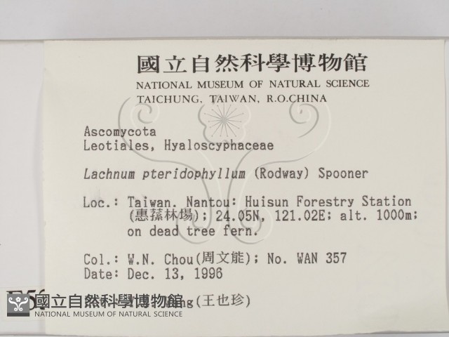 登錄號:F0005381藏品圖，第2張