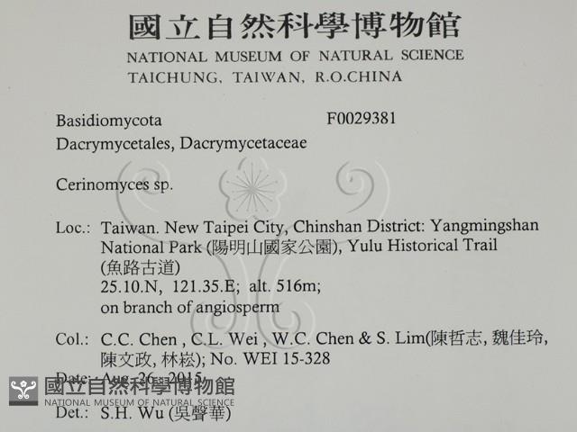 登錄號:F0029381藏品圖，第2張
