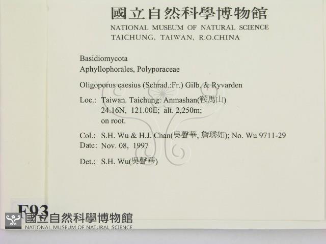 登錄號:F0009381藏品圖，第2張