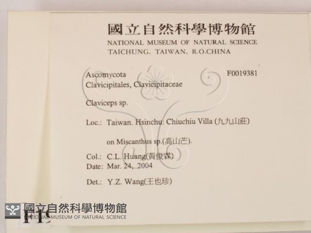 登錄號:F0019381藏品圖，第2張