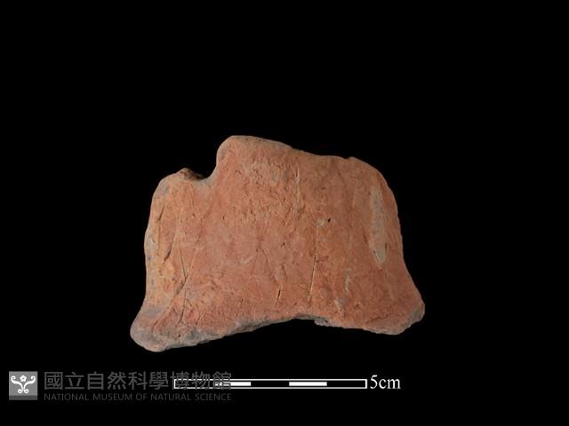 連杯形器藏品圖，第2張