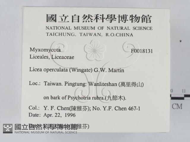 登錄號:F0018131藏品圖，第2張