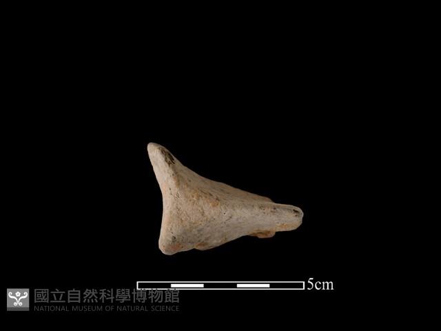 連杯形器藏品圖，第1張