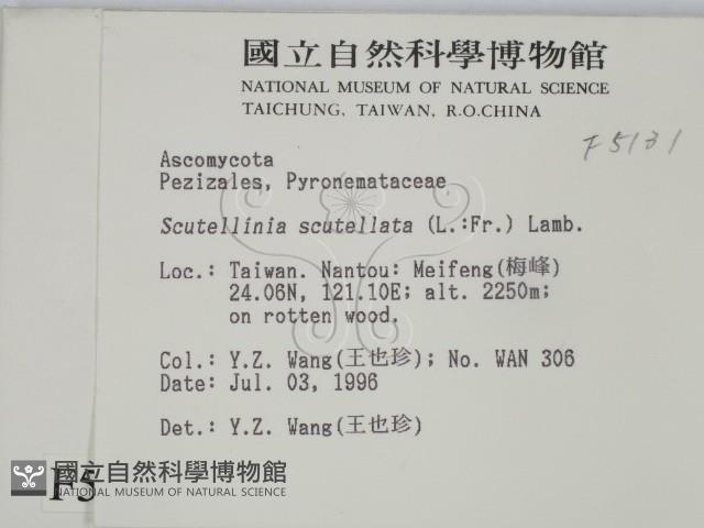 登錄號:F0005131藏品圖，第2張