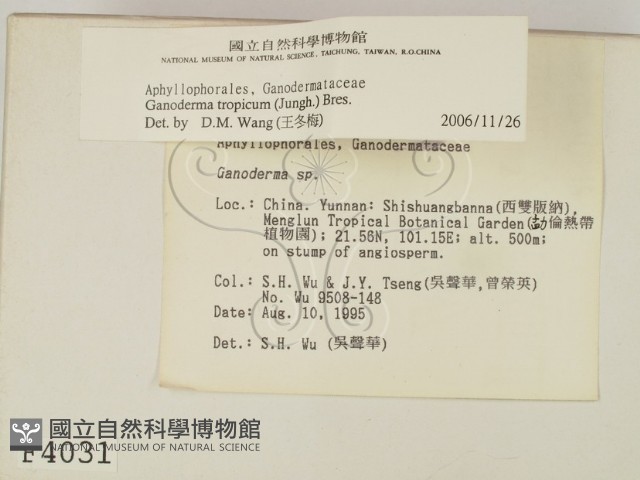 登錄號:F0004031藏品圖，第2張