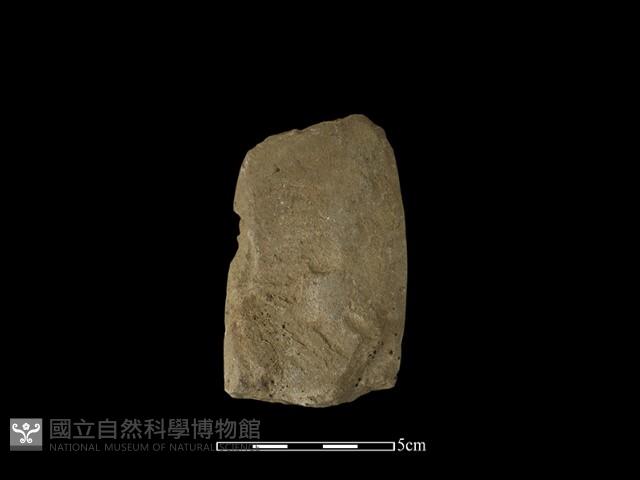 錛鑿形器藏品圖，第2張