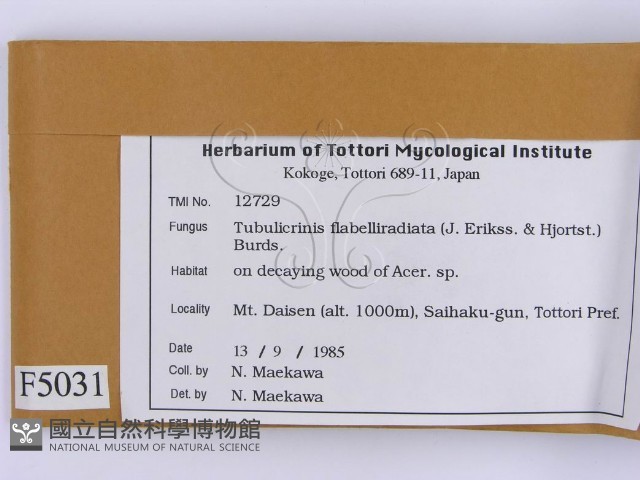 登錄號:F0005031藏品圖，第2張