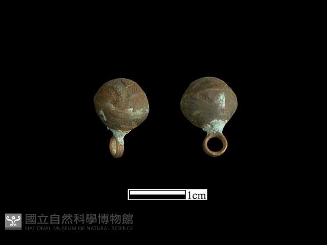 Accession Number:BK-CU031 Collection Image, Figure 2, Total 3 Figures