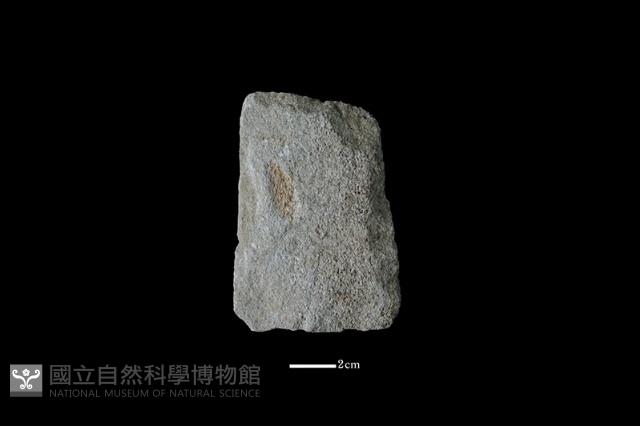 斧鋤形器藏品圖，第1張